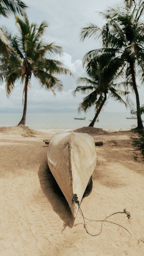 Download wallpaper 2160x3840 beach, sand, boat, palm trees, sea samsung galaxy s4, s5, note, sony xperia z, z1, z2, z3, htc one, lenovo vibe hd background