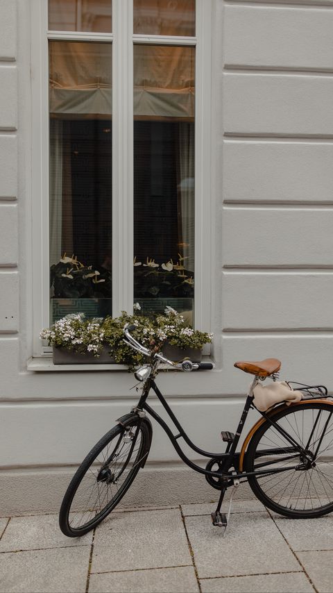 Download wallpaper 2160x3840 bicycle, window, flowers samsung galaxy s4, s5, note, sony xperia z, z1, z2, z3, htc one, lenovo vibe hd background