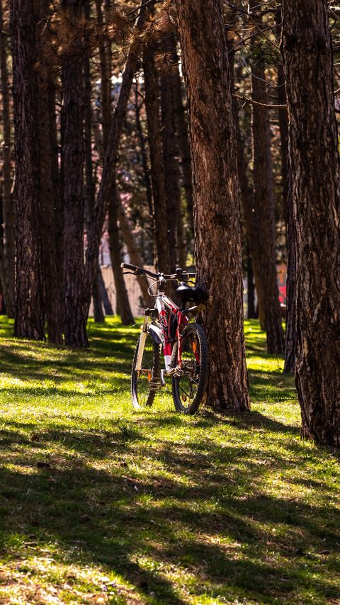 Download wallpaper 2160x3840 bike, park, trees, nature samsung galaxy s4, s5, note, sony xperia z, z1, z2, z3, htc one, lenovo vibe hd background