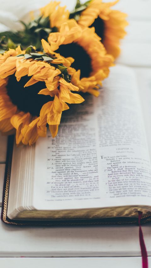 Download wallpaper 2160x3840 book, reading, sunflowers, flowers, aesthetics samsung galaxy s4, s5, note, sony xperia z, z1, z2, z3, htc one, lenovo vibe hd background