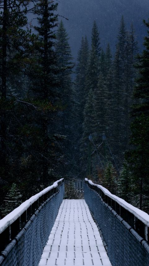 Download wallpaper 2160x3840 bridge, forest, trees, snow, nature samsung galaxy s4, s5, note, sony xperia z, z1, z2, z3, htc one, lenovo vibe hd background