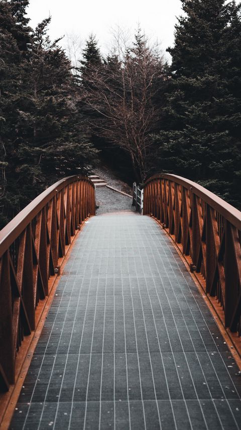 Download wallpaper 2160x3840 bridge, forest, trees, landscape samsung galaxy s4, s5, note, sony xperia z, z1, z2, z3, htc one, lenovo vibe hd background