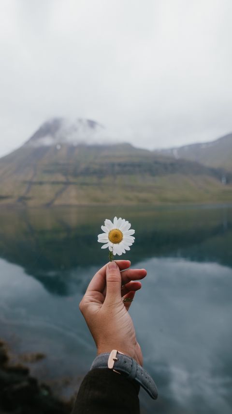 Download wallpaper 2160x3840 chamomile, flower, hand, lake, mountains samsung galaxy s4, s5, note, sony xperia z, z1, z2, z3, htc one, lenovo vibe hd background