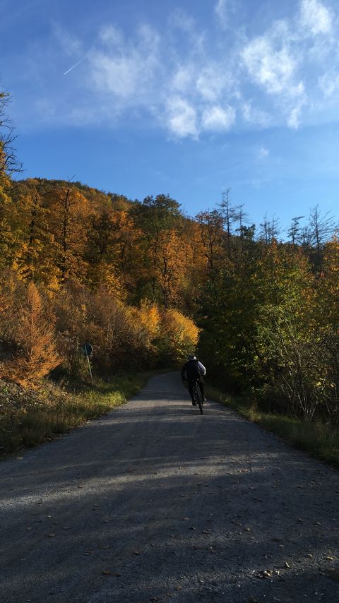 Download wallpaper 2160x3840 cyclist, bike, road, forest, trees samsung galaxy s4, s5, note, sony xperia z, z1, z2, z3, htc one, lenovo vibe hd background