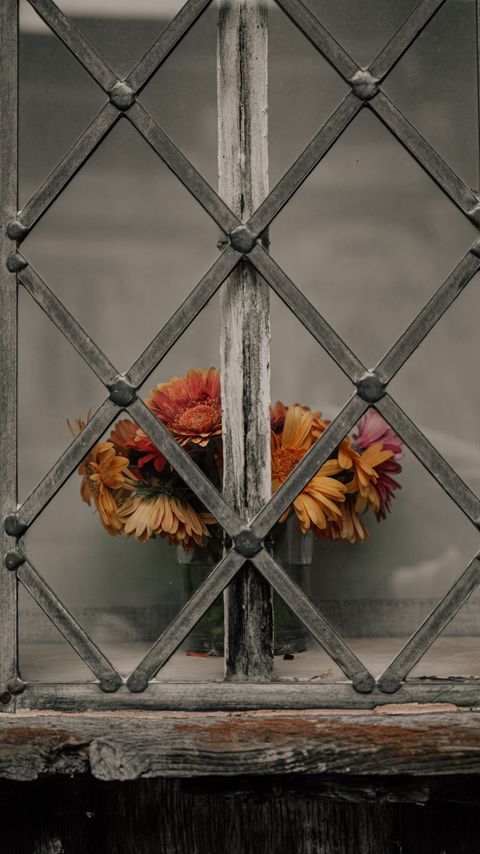 Download wallpaper 2160x3840 daisies, flowers, bouquet, window, lattice samsung galaxy s4, s5, note, sony xperia z, z1, z2, z3, htc one, lenovo vibe hd background