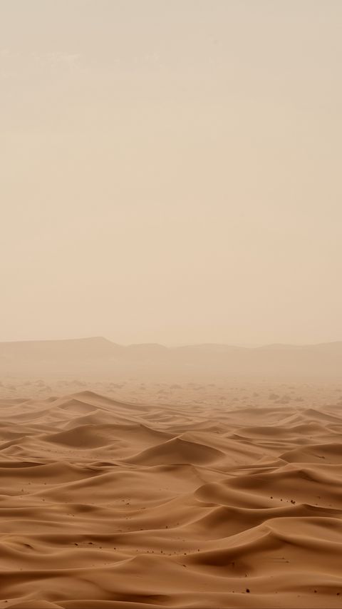 Download wallpaper 2160x3840 desert, sand, waves, relief, brown samsung galaxy s4, s5, note, sony xperia z, z1, z2, z3, htc one, lenovo vibe hd background