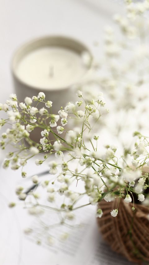 Download wallpaper 2160x3840 flowers, branches, basket, candle, white, aesthetics samsung galaxy s4, s5, note, sony xperia z, z1, z2, z3, htc one, lenovo vibe hd background