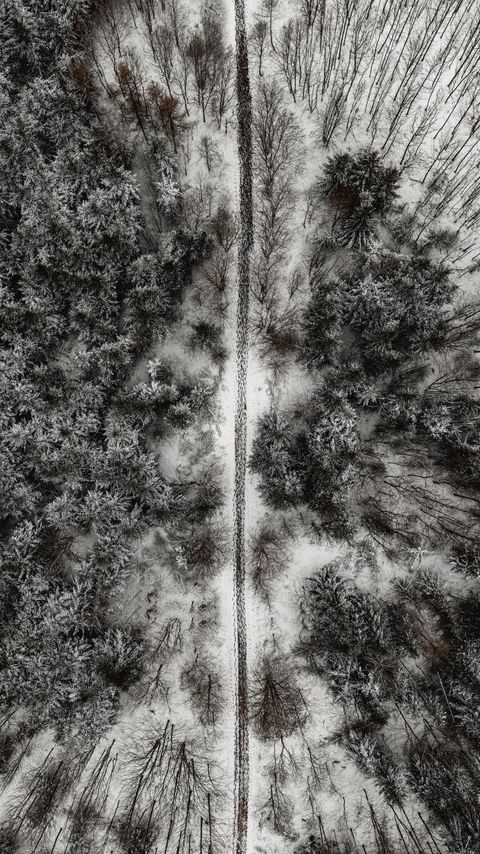 Download wallpaper 2160x3840 forest, trees, road, aerial view, snow, winter samsung galaxy s4, s5, note, sony xperia z, z1, z2, z3, htc one, lenovo vibe hd background