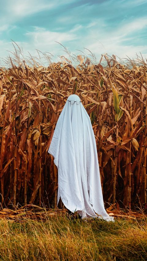 Download wallpaper 2160x3840 ghost, glasses, sheet, field, corn, funny samsung galaxy s4, s5, note, sony xperia z, z1, z2, z3, htc one, lenovo vibe hd background