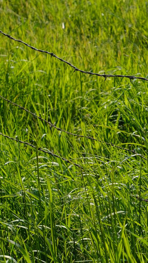 Download wallpaper 2160x3840 grass, greenery, plants, barbed wire, fencing samsung galaxy s4, s5, note, sony xperia z, z1, z2, z3, htc one, lenovo vibe hd background