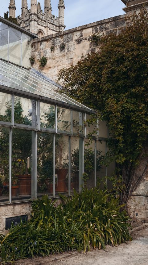 Download wallpaper 2160x3840 greenhouse, building, architecture, plants, leaves samsung galaxy s4, s5, note, sony xperia z, z1, z2, z3, htc one, lenovo vibe hd background