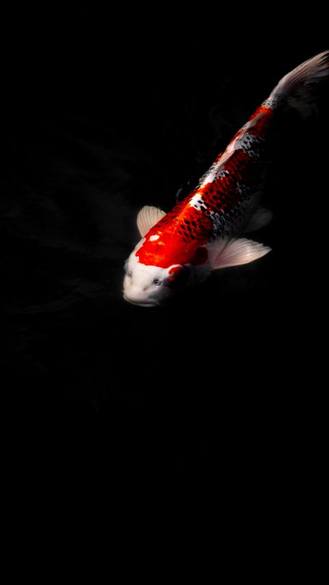 Download wallpaper 2160x3840 koi carp, fish, water, underwater samsung galaxy s4, s5, note, sony xperia z, z1, z2, z3, htc one, lenovo vibe hd background