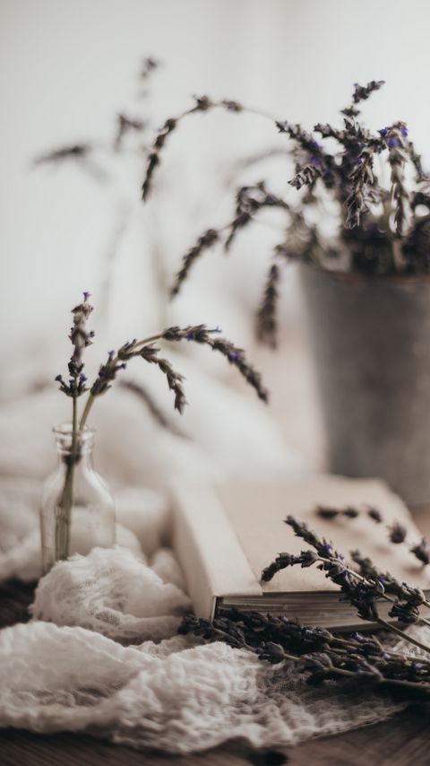 Download wallpaper 2160x3840 lavender, flowers, branches, book, aesthetics samsung galaxy s4, s5, note, sony xperia z, z1, z2, z3, htc one, lenovo vibe hd background