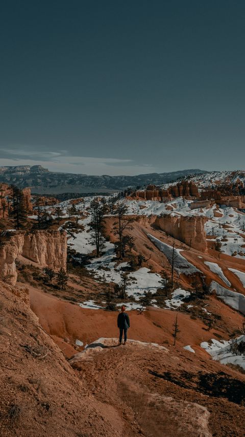 Download wallpaper 2160x3840 man, alone, canyon, rocks, snow samsung galaxy s4, s5, note, sony xperia z, z1, z2, z3, htc one, lenovo vibe hd background