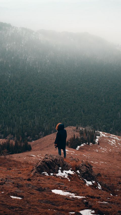 Download wallpaper 2160x3840 man, alone, mountains, forest, nature samsung galaxy s4, s5, note, sony xperia z, z1, z2, z3, htc one, lenovo vibe hd background