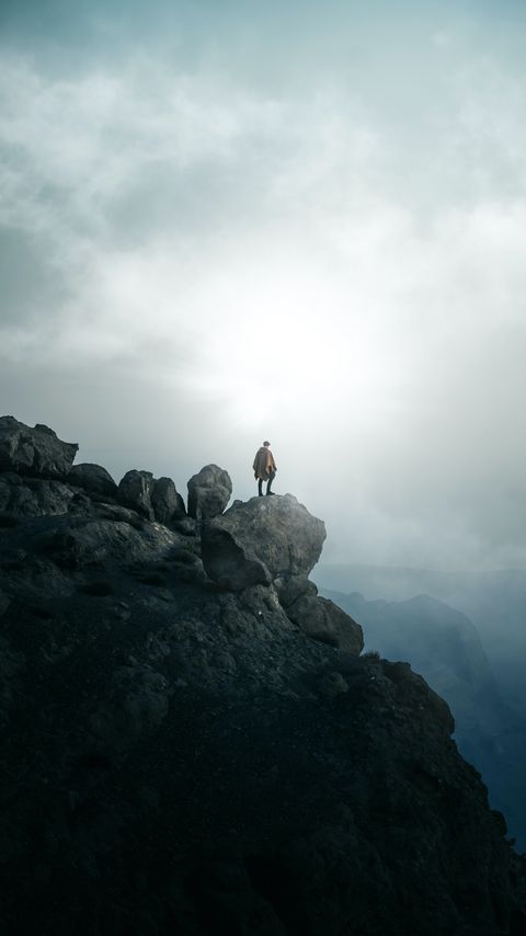 Download wallpaper 2160x3840 man, alone, peak, mountains, fog samsung galaxy s4, s5, note, sony xperia z, z1, z2, z3, htc one, lenovo vibe hd background