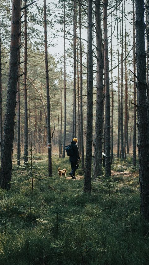 Download wallpaper 2160x3840 man, dog, forest, walk, trees, nature samsung galaxy s4, s5, note, sony xperia z, z1, z2, z3, htc one, lenovo vibe hd background