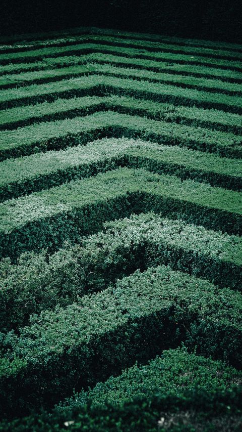 Download wallpaper 2160x3840 maze, bushes, stripes, leaves, green samsung galaxy s4, s5, note, sony xperia z, z1, z2, z3, htc one, lenovo vibe hd background