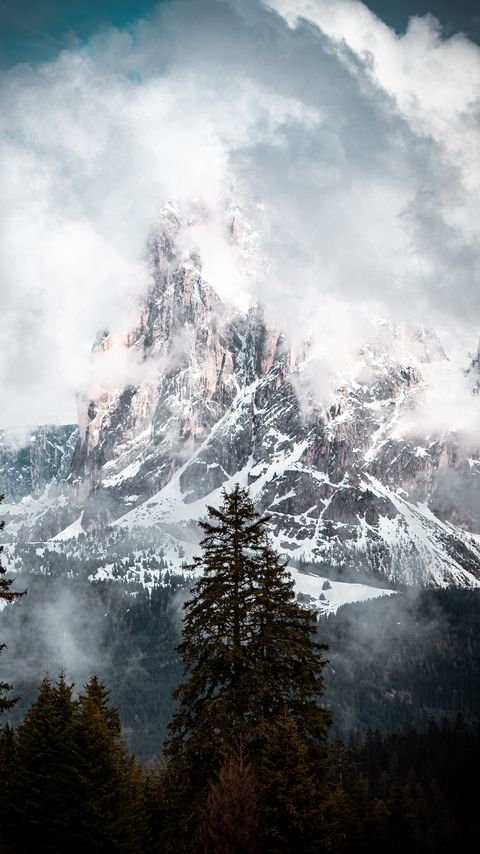 Download wallpaper 2160x3840 mountain, peak, clouds, snow, trees, landscape samsung galaxy s4, s5, note, sony xperia z, z1, z2, z3, htc one, lenovo vibe hd background