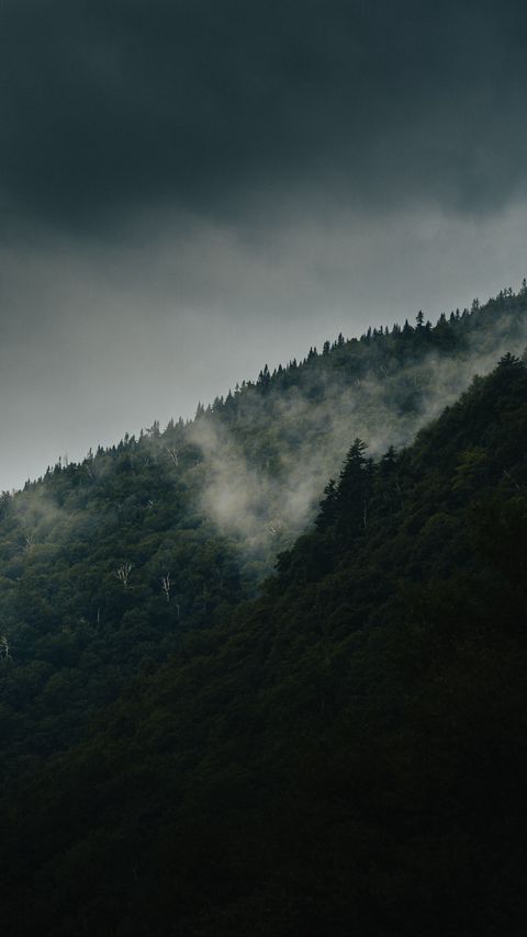 Download wallpaper 2160x3840 mountain, slope, forest, clouds, fog, mist samsung galaxy s4, s5, note, sony xperia z, z1, z2, z3, htc one, lenovo vibe hd background