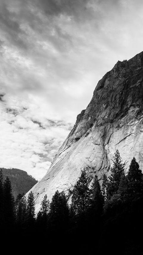 Download wallpaper 2160x3840 mountain, trees, clouds, nature, black and white, bw samsung galaxy s4, s5, note, sony xperia z, z1, z2, z3, htc one, lenovo vibe hd background