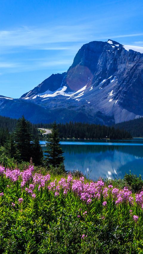 Download wallpaper 2160x3840 mountains, lake, flowers, trees, landscape, nature samsung galaxy s4, s5, note, sony xperia z, z1, z2, z3, htc one, lenovo vibe hd background