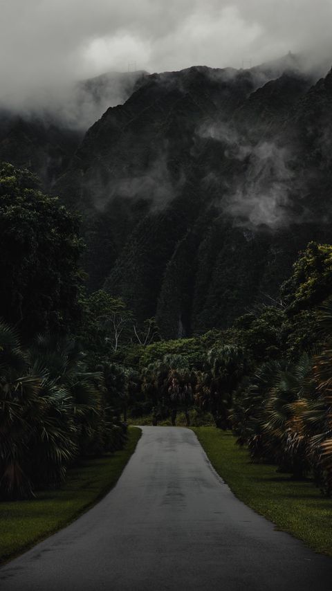 Download wallpaper 2160x3840 mountains, road, trees, palms, fog samsung galaxy s4, s5, note, sony xperia z, z1, z2, z3, htc one, lenovo vibe hd background