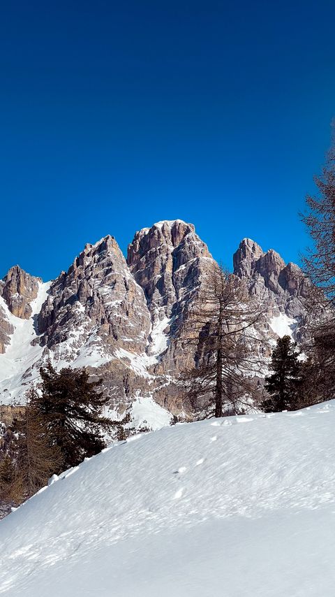 Download wallpaper 2160x3840 mountains, snow, trees, winter, nature, landscape samsung galaxy s4, s5, note, sony xperia z, z1, z2, z3, htc one, lenovo vibe hd background