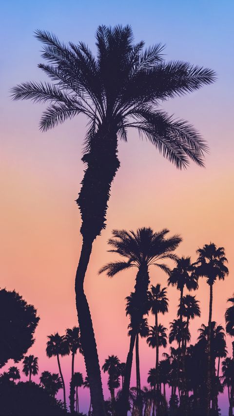 Download wallpaper 2160x3840 palms, silhouettes, sunset, gradient, dark samsung galaxy s4, s5, note, sony xperia z, z1, z2, z3, htc one, lenovo vibe hd background