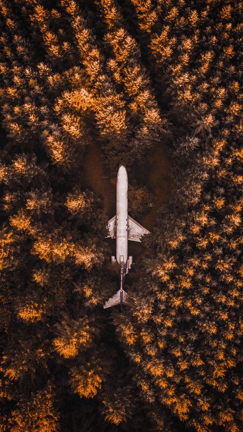 Download wallpaper 2160x3840 plane, forest, trees, aerial view samsung galaxy s4, s5, note, sony xperia z, z1, z2, z3, htc one, lenovo vibe hd background