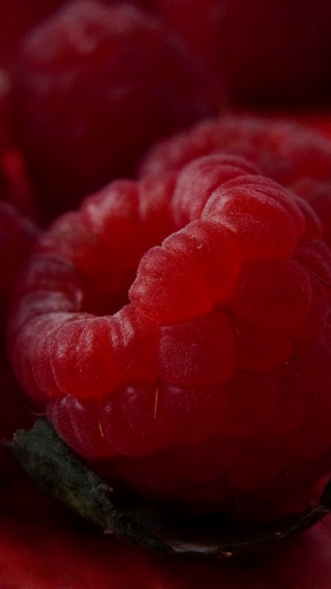 Download wallpaper 2160x3840 raspberries, berries, ripe, fresh, red, macro samsung galaxy s4, s5, note, sony xperia z, z1, z2, z3, htc one, lenovo vibe hd background