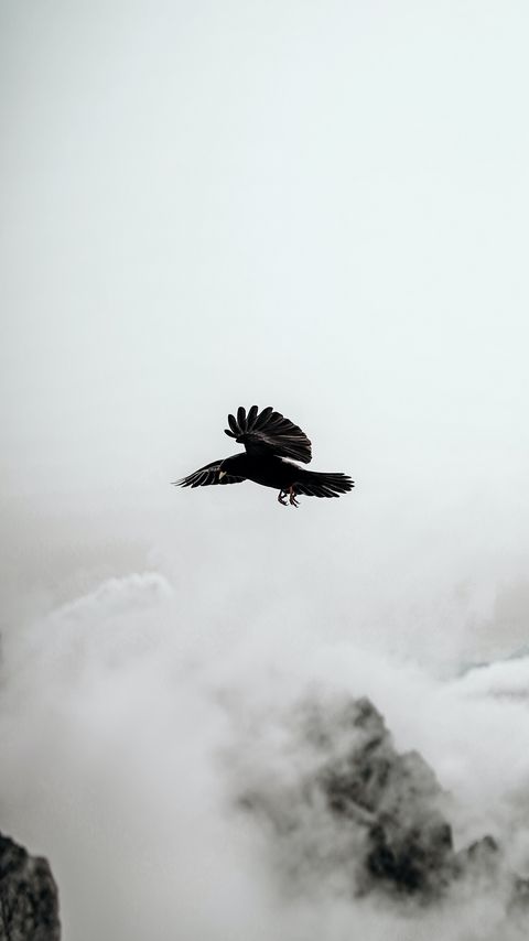 Download wallpaper 2160x3840 raven, bird, rocks, fog samsung galaxy s4, s5, note, sony xperia z, z1, z2, z3, htc one, lenovo vibe hd background