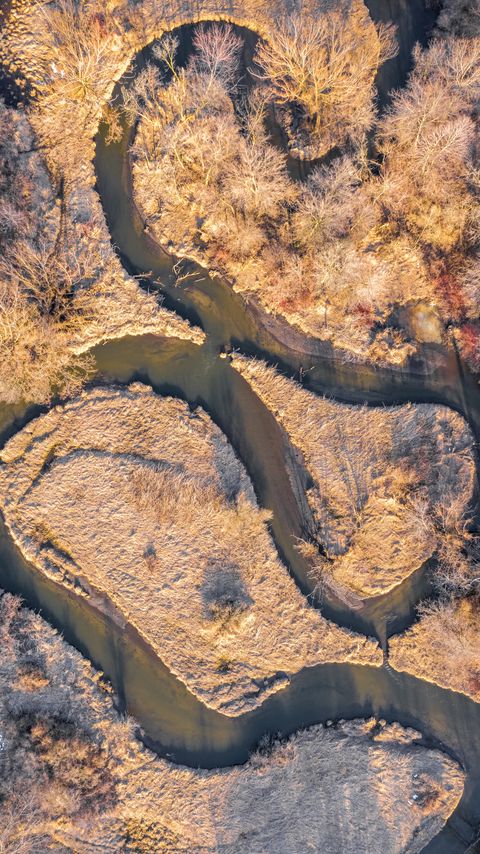 Download wallpaper 2160x3840 river, forest, autumn, nature, aerial view samsung galaxy s4, s5, note, sony xperia z, z1, z2, z3, htc one, lenovo vibe hd background