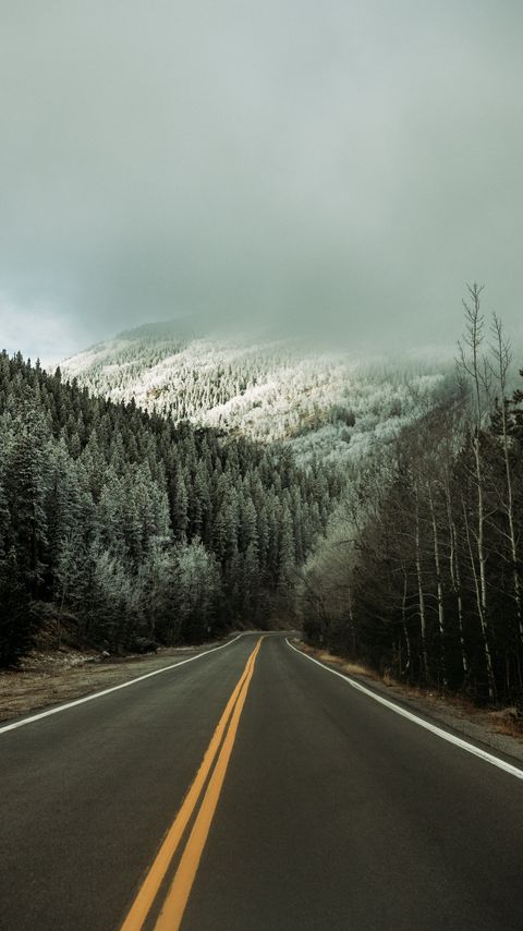 Download wallpaper 2160x3840 road, asphalt, forest, trees, snow, winter samsung galaxy s4, s5, note, sony xperia z, z1, z2, z3, htc one, lenovo vibe hd background