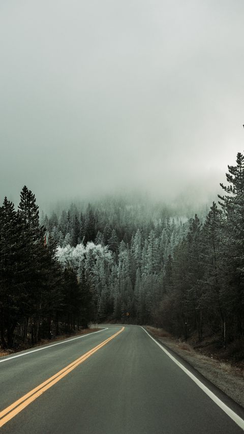 Download wallpaper 2160x3840 road, asphalt, turn, forest, trees, snow, winter samsung galaxy s4, s5, note, sony xperia z, z1, z2, z3, htc one, lenovo vibe hd background