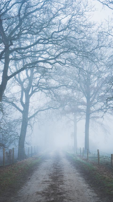 Download wallpaper 2160x3840 road, trees, fog, fence, nature samsung galaxy s4, s5, note, sony xperia z, z1, z2, z3, htc one, lenovo vibe hd background