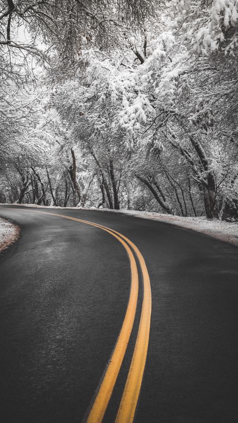 Download wallpaper 2160x3840 road, turn, asphalt, marking, trees, snow, winter samsung galaxy s4, s5, note, sony xperia z, z1, z2, z3, htc one, lenovo vibe hd background