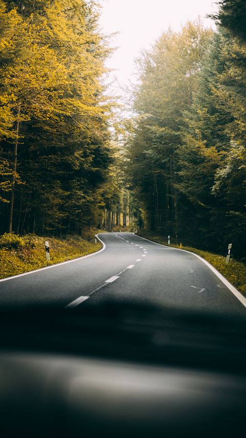 Download wallpaper 2160x3840 road, turn, forest, trees, nature, travel samsung galaxy s4, s5, note, sony xperia z, z1, z2, z3, htc one, lenovo vibe hd background