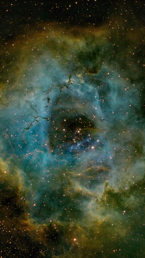 Download wallpaper 2160x3840 rosette nebula, nebula, stars, space samsung galaxy s4, s5, note, sony xperia z, z1, z2, z3, htc one, lenovo vibe hd background