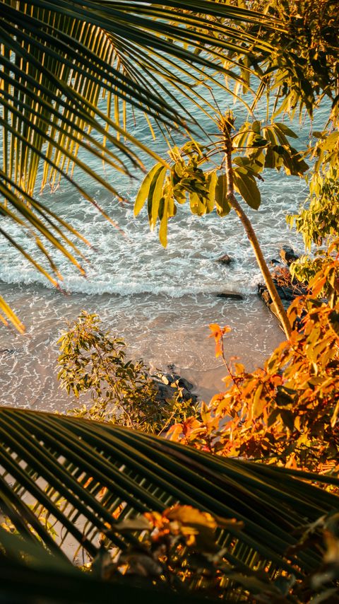 Download wallpaper 2160x3840 sea, beach, palm trees, tropics, summer samsung galaxy s4, s5, note, sony xperia z, z1, z2, z3, htc one, lenovo vibe hd background