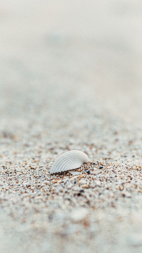 Download wallpaper 2160x3840 shell, beach, sand samsung galaxy s4, s5, note, sony xperia z, z1, z2, z3, htc one, lenovo vibe hd background