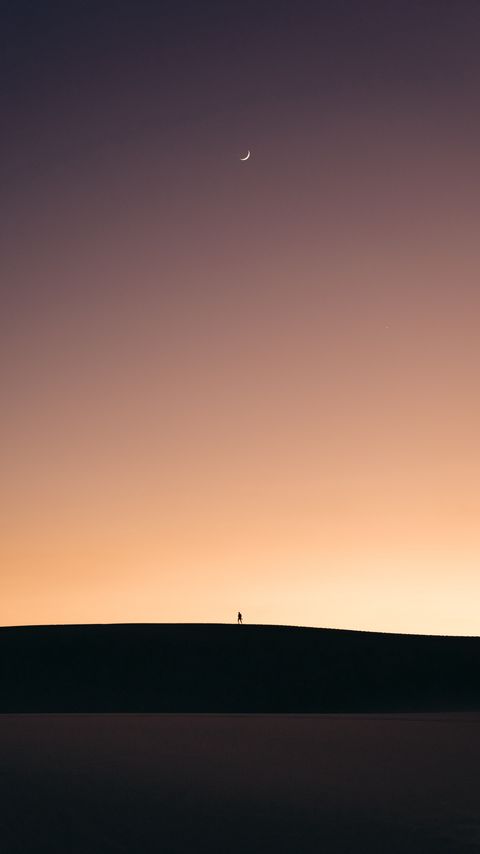 Download wallpaper 2160x3840 silhouette, alone, desert, moon, twilight, minimalism samsung galaxy s4, s5, note, sony xperia z, z1, z2, z3, htc one, lenovo vibe hd background