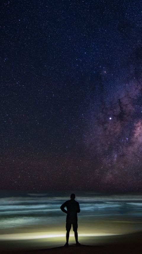 Download wallpaper 2160x3840 silhouette, alone, stars, night, dark samsung galaxy s4, s5, note, sony xperia z, z1, z2, z3, htc one, lenovo vibe hd background