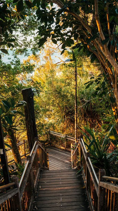 Download wallpaper 2160x3840 stairs, descent, trees, plants, tropics samsung galaxy s4, s5, note, sony xperia z, z1, z2, z3, htc one, lenovo vibe hd background