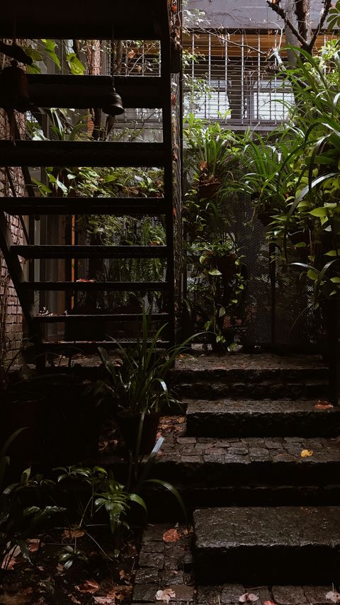 Download wallpaper 2160x3840 stairs, rise, architecture, plants, leaves samsung galaxy s4, s5, note, sony xperia z, z1, z2, z3, htc one, lenovo vibe hd background