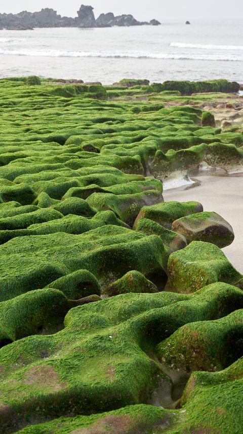 Download wallpaper 2160x3840 stones, moss, beach, water, sea samsung galaxy s4, s5, note, sony xperia z, z1, z2, z3, htc one, lenovo vibe hd background