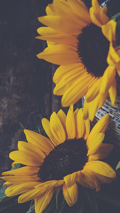 Download wallpaper 2160x3840 sunflowers, flowers, petals, vase, yellow samsung galaxy s4, s5, note, sony xperia z, z1, z2, z3, htc one, lenovo vibe hd background