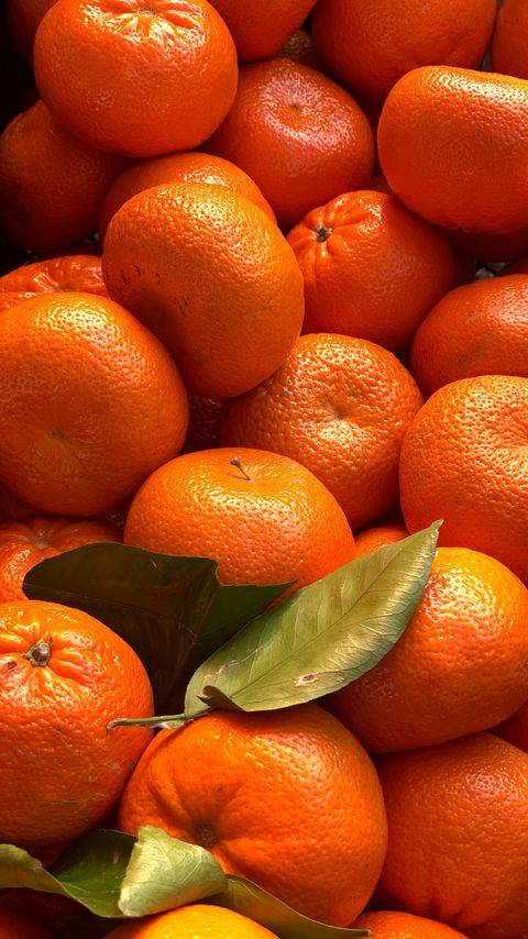 Download wallpaper 2160x3840 tangerines, citrus, fruits, leaves, orange samsung galaxy s4, s5, note, sony xperia z, z1, z2, z3, htc one, lenovo vibe hd background