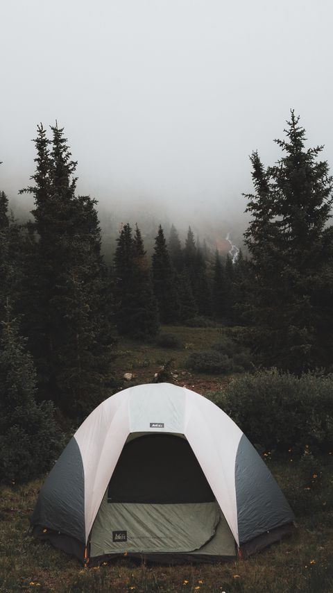 Download wallpaper 2160x3840 tent, camping, trees, fog, nature samsung galaxy s4, s5, note, sony xperia z, z1, z2, z3, htc one, lenovo vibe hd background