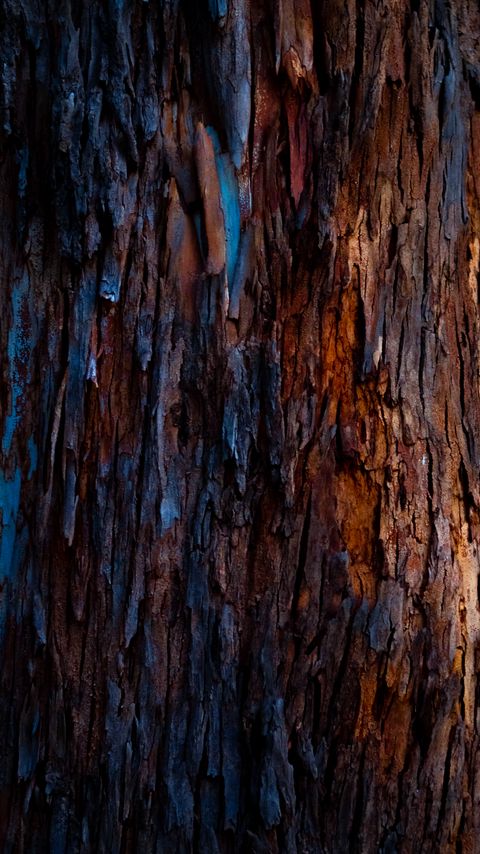 Download wallpaper 2160x3840 tree, bark, texture samsung galaxy s4, s5, note, sony xperia z, z1, z2, z3, htc one, lenovo vibe hd background